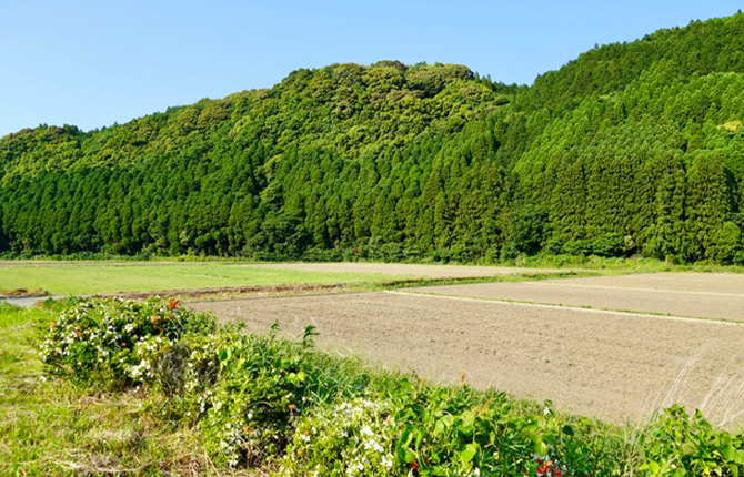 農地転用など農地に関する手続き